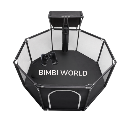 Bimbi Go World MMA